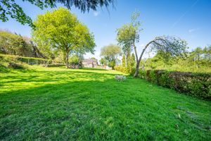 Garden- click for photo gallery